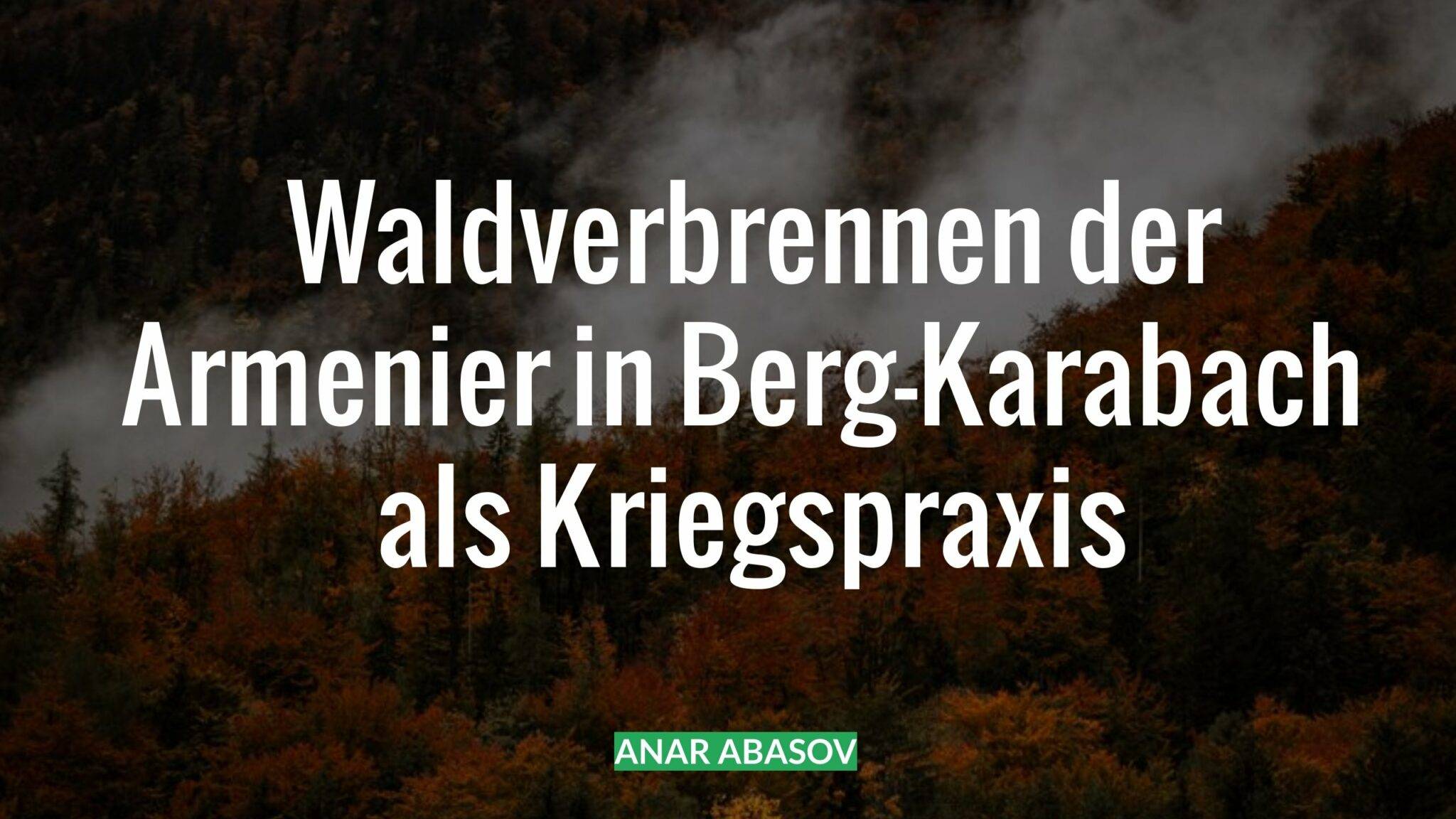 Anar Abasov: Waldverbrennen der Armenier in Berg-Karabach als Kriegspraxis
